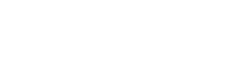 Lincoln community school