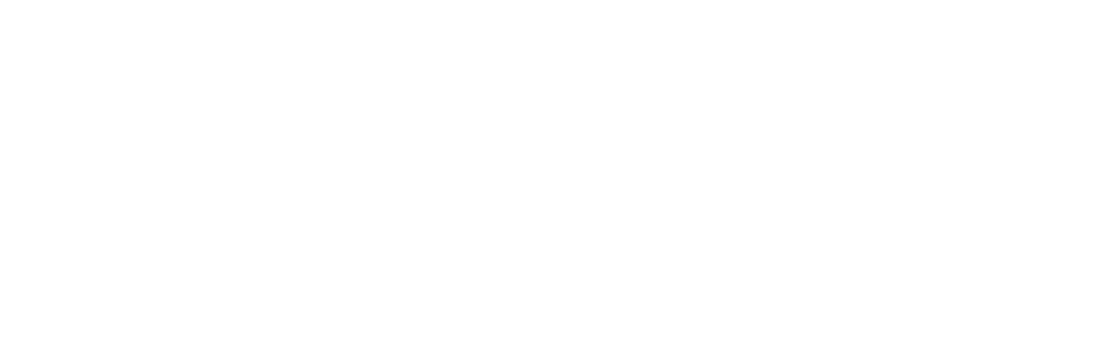 bajfeight logo